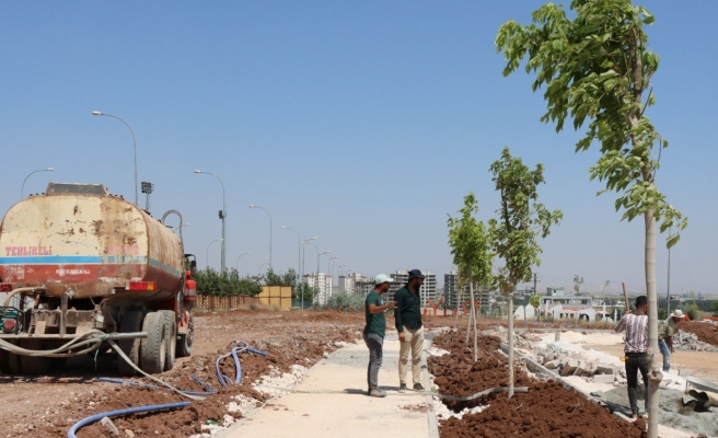 Büyükşehirden park çalışması