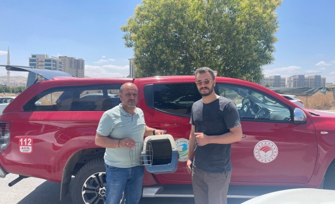 Urfa’da bitkin halde bulunan leş kargaları tedaviye alındı