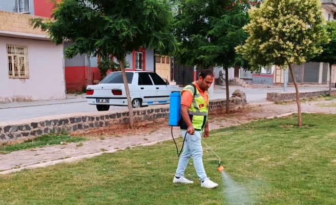 Viranşehir’de haşereyle mücadele sürüyor