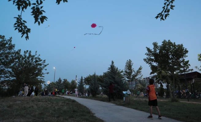 Şanlıurfa’da “Uçurtma Şenliği”