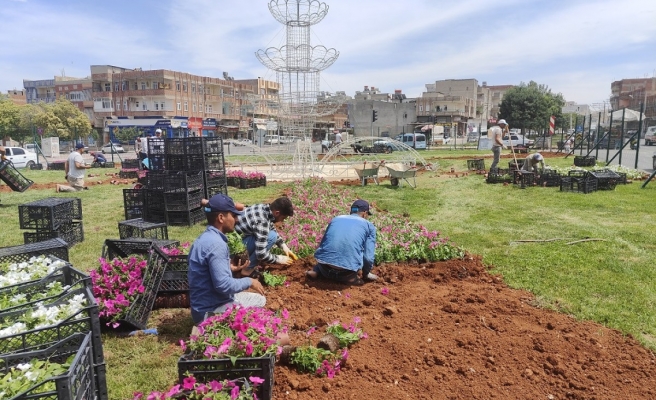 Eyyübiye’de 24 parkta bitkisel peyzaj düzenlemesi tamamlandı