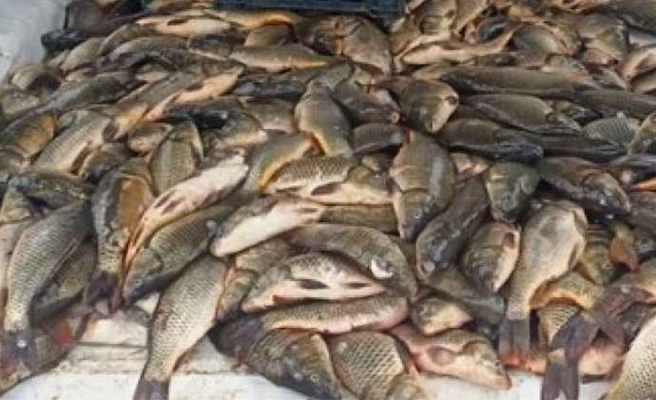 Urfa’da kaçak avlanan balıkçıya 16 bin 561 lira para cezası kesildi