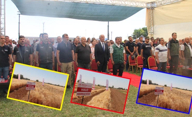 Şanlıurfa'da GAPTEAM tarafından geliştirilen tohumlar tanıtıldı