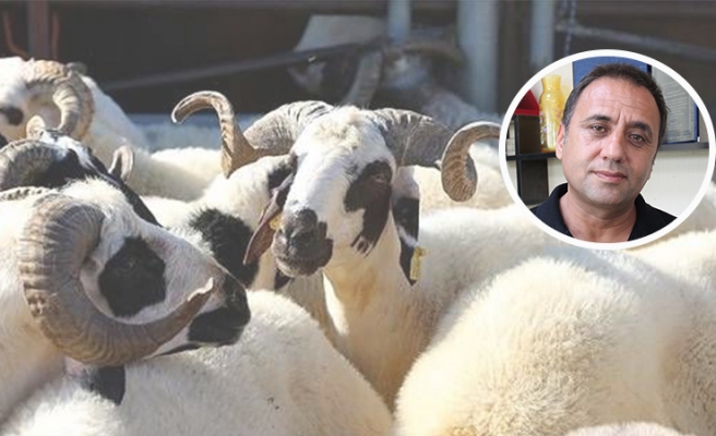 Urfa’da kurbanlık hayvan alacaklara uzmanından uyarı