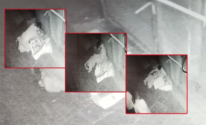 Eyyübiye’de pes dedirten hırsızlık