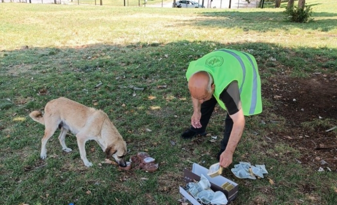 Urfa’da sokak hayvanları için mama bırakıldı