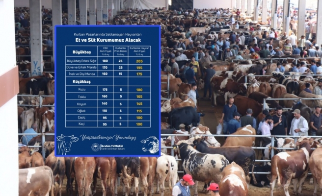Satılmayan kurbanlıkları ESK alacak