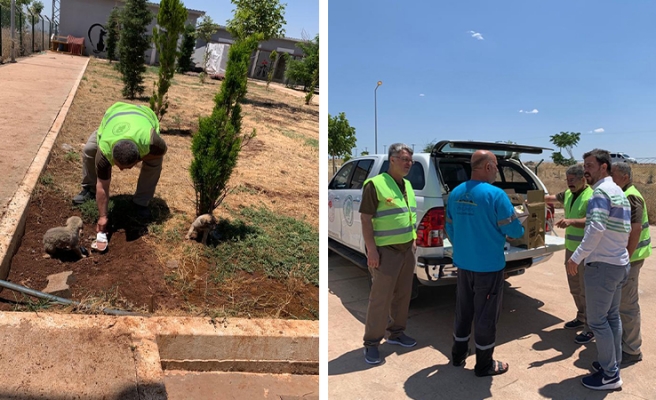 Şanlıurfa’da hayvan barınağına denetim
