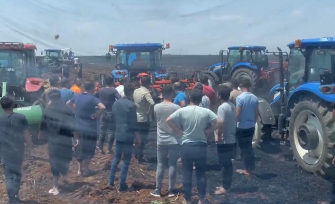 Urfa’da buğday ekili alanda yangın!