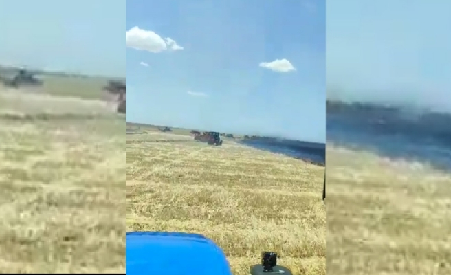 Siverek'te büyük yangın! Yüzlerce dönüm küle döndü