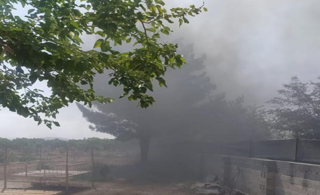 Urfa'da bir köyde çıkan yangın her tarafa yayıldı