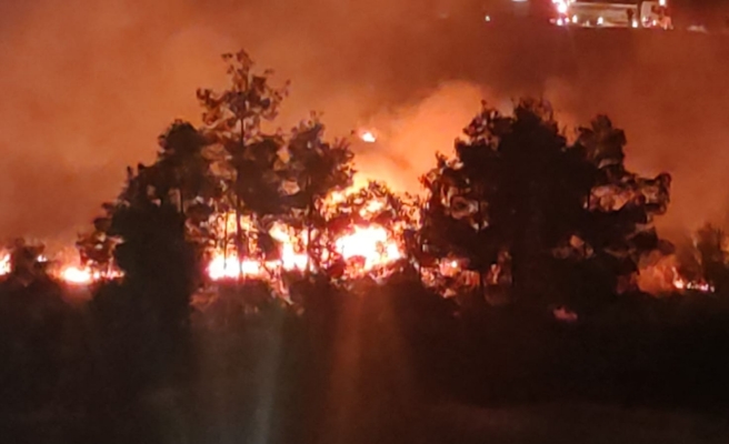 Şanlıurfa'da yangın ormanlık alana sıçradı!