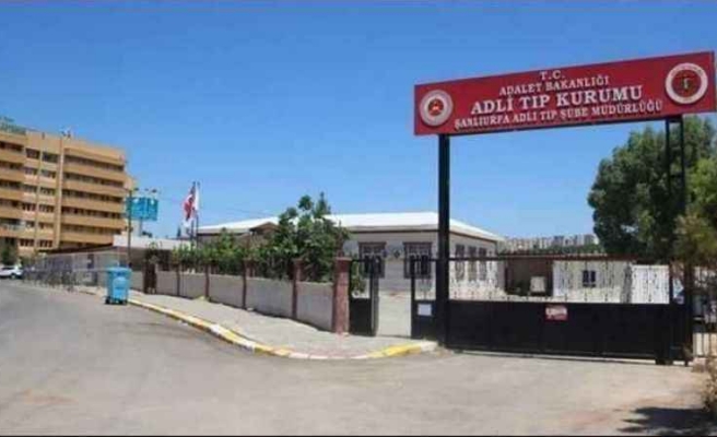 Şanlıurfa’da bir kişi arı sokması sonucu hayatını kaybetti