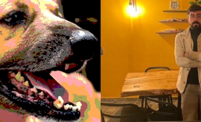 Siverek Kaymakamlığı'ndan kuduz vakası ile ilgili açıklama!