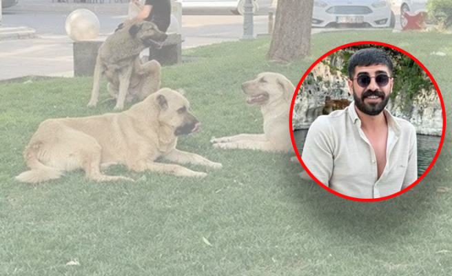 Siverek’teki ölümlü kuduz saldırısının detayları ortaya çıktı