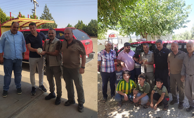 Bitkin halde bulunan baykuşlar tedavi altına alındı