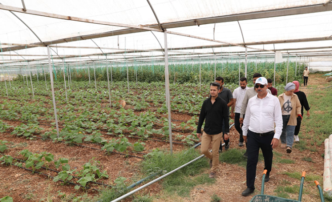 Başkan Kuş: Eyyübiye sera kent hedefine ulaşıyor