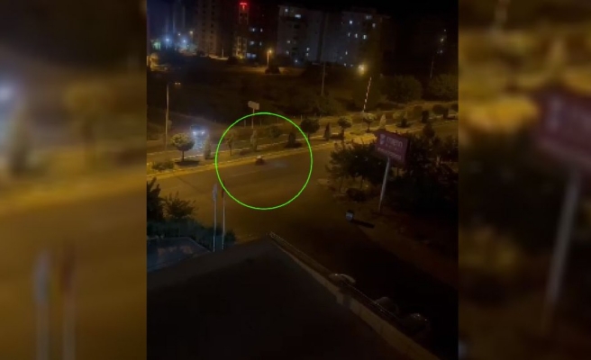 Urfa'da korku yaratan yarış!