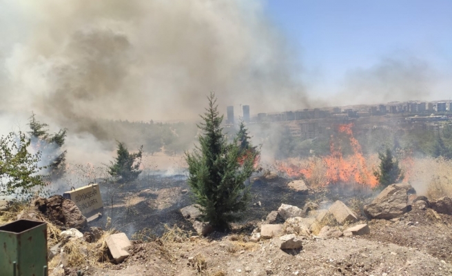 Urfa’daki orman yangınına ilişkin açıklama!