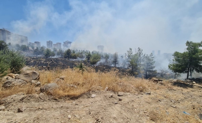 Urfa'da orman yangını olayına karışan şahıs tutuklandı