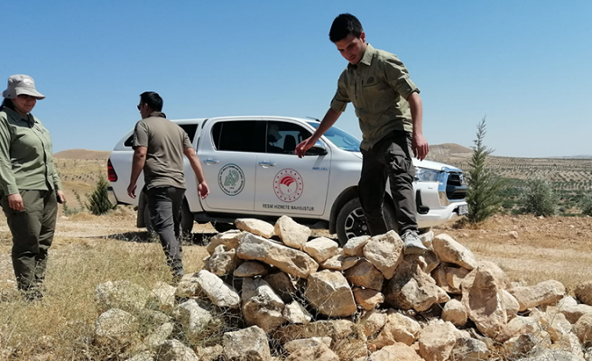 DKMP ekipleri Urfa'da kınalı keklik avına izin vermiyor