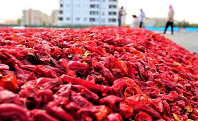 Şanlıurfa'nın ihracat ve ithalat rakamları belli oldu