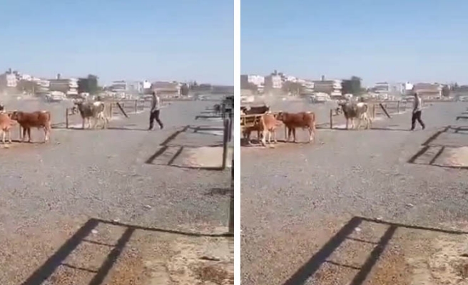 Urfa’da iki grup arasındaki silahlı kavga kamerada