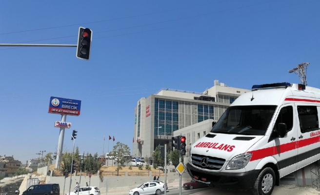 Koyun kırkarken elektrik akımına kapılarak hayatını kaybetti