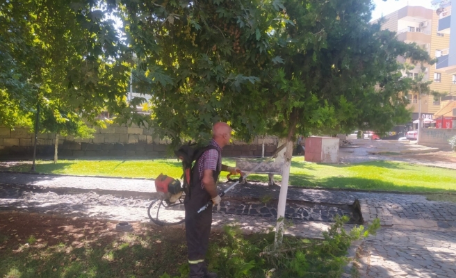Viranşehir’de parklarda bakım ve budama çalışması