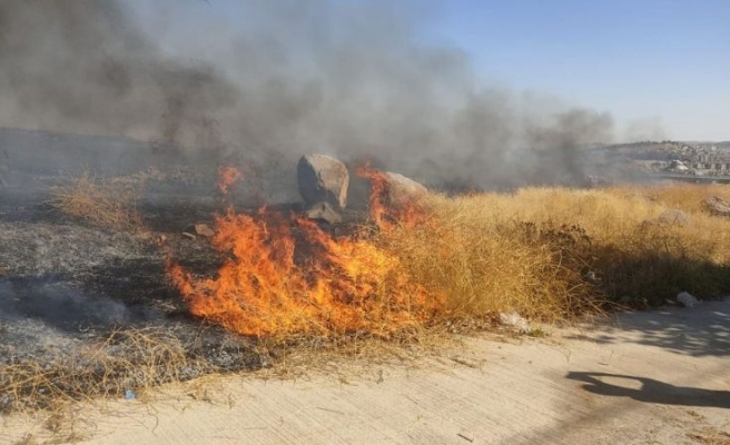 Urfa’da ot yangını