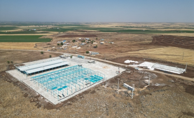 Büyükşehir’den Viranşehir’e modern mezbaha