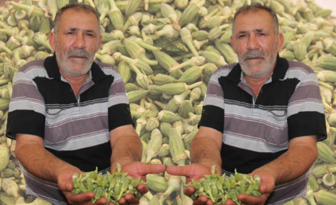 Bamyada fiyatı arttı ama talep azalmadı