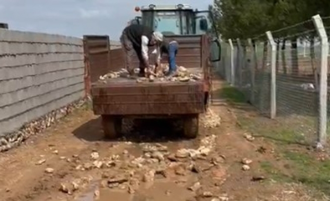 Ceylanpınarlı köylülerin ne elektriği ne yolu var