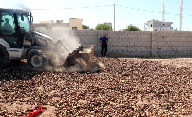 Akçakale’de 4 ton çürümüş soğan ele geçirildi