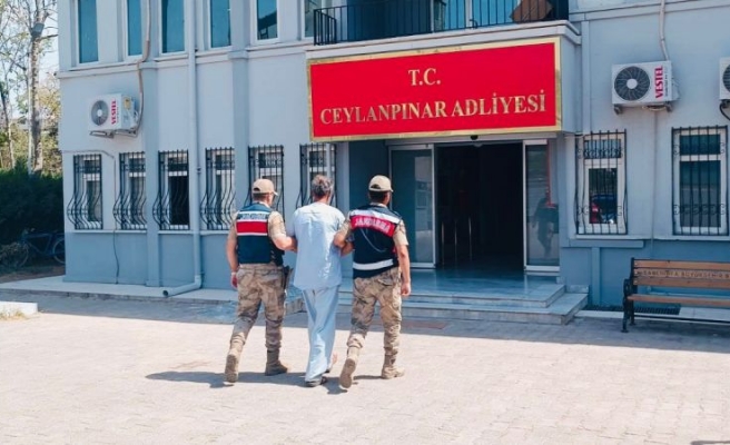 Urfa’daki Köpek tecavüzcüsü tutuklandı