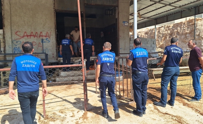 Zabıtadan kaçak kesim uyarısı