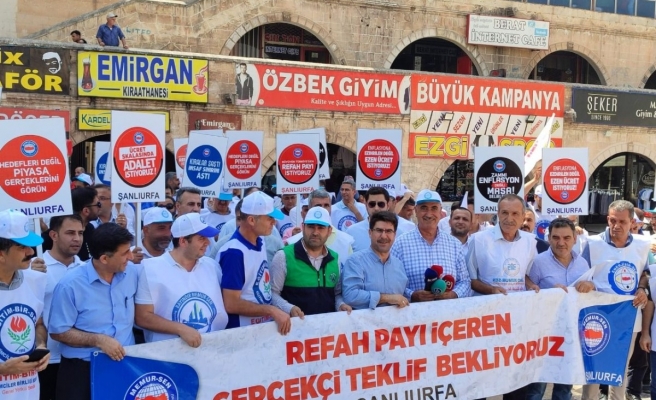 Memur-Sen Şanlıurfa Şubesi’nden hükümetin zam teklifine protesto - 2