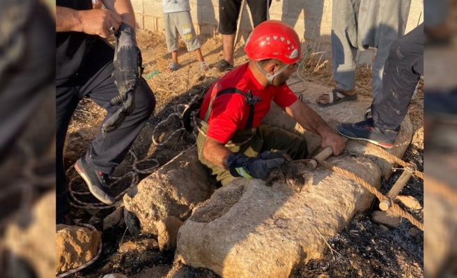 Kuyuya düşen kediyi itfaiye kurtardı
