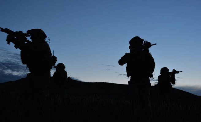 Urfa sınırında 2 PKK/YPG'li terörist etkisiz hale getirildi