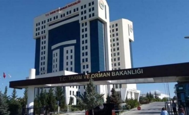 Çelik'in görev verdiği Fakıbaba'nın görevden aldığı skandal isim yeniden atandı