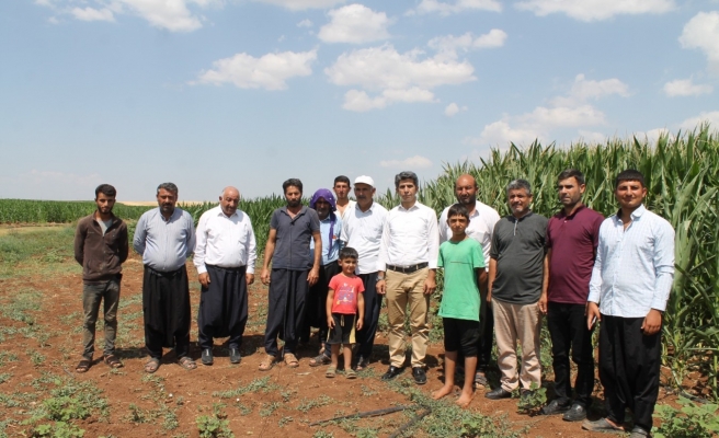 HÜDA PAR mısır üreticilerinin mağduriyetini gündeme taşıdı