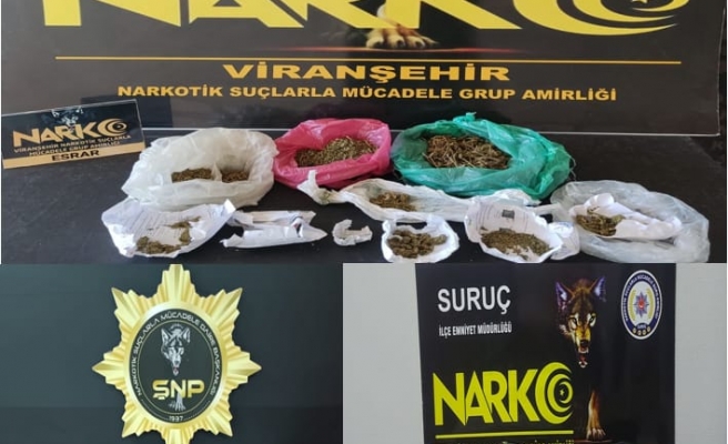 Urfa’da ‘torbacı’ operasyonu! 8 gözaltı