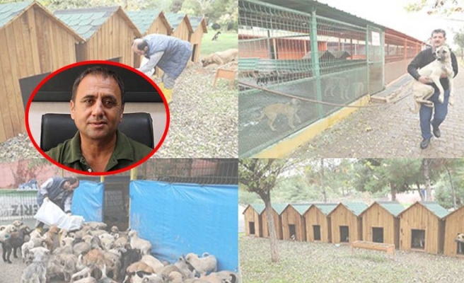 Hayvanı çok barınağı ve hastanesi yok