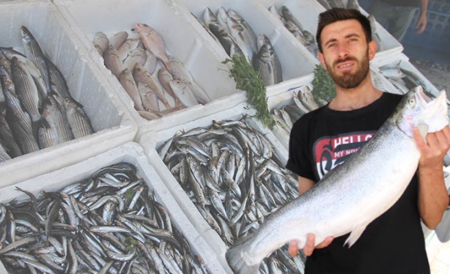 Urfa’da balıklar tezgahları süslemeye başladı