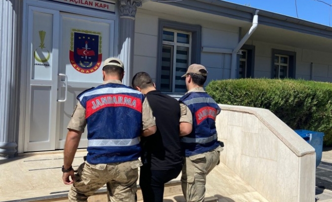 Eyyübiye’de bilişim hırsızlığı suçundan aranan şahıs yakalandı