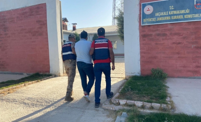 Dolandırıcılık firarisi Akçakale'de yakalandı