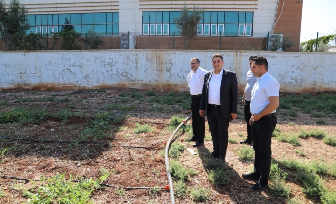 Solmaz:  Hastalar tarlada çalışırken toprakla haşır neşir olup stresten uzaklaşıp deşarj oluyor