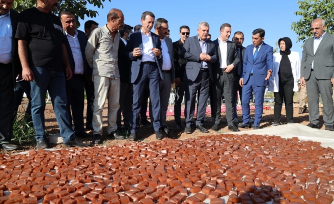 Şanlıurfa'da ‘Şire Şenliği’ renkli görüntülere sahne oldu