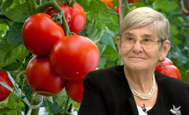 Canan Karatay'dan domates uyarısı!