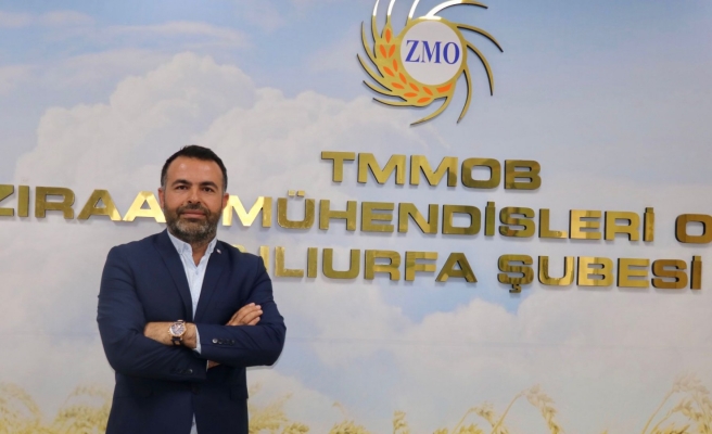 Şanlıurfa’da tahmini kütlü pamuk maliyeti açıklandı